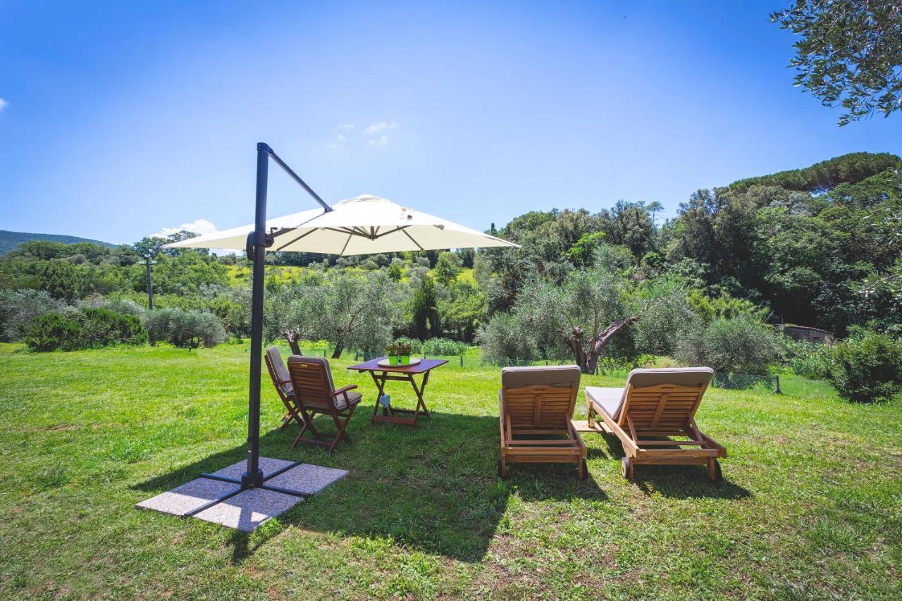 Bed and Breakfast Gatto Rosso Bolgheri Exterior foto
