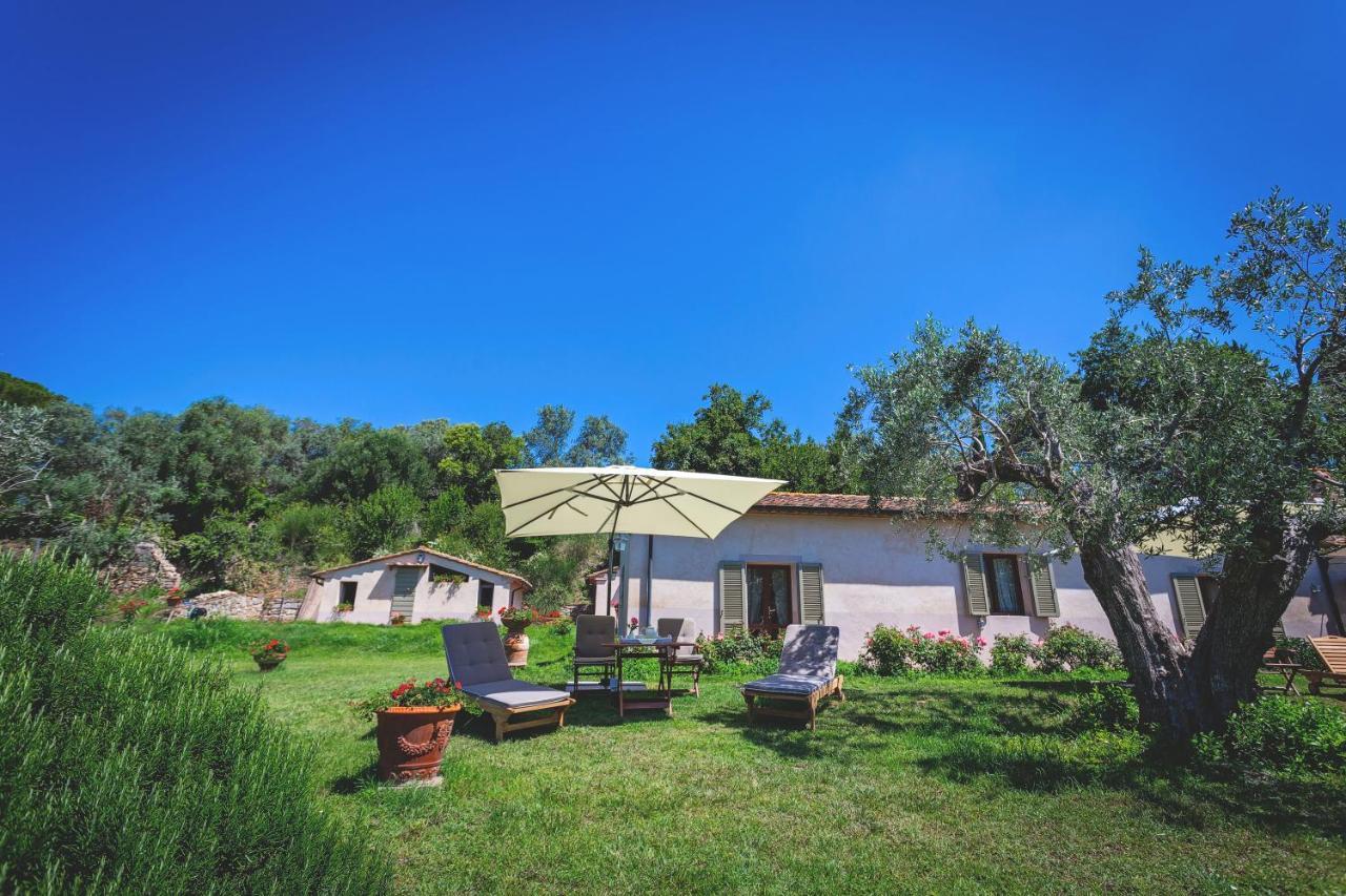 Bed and Breakfast Gatto Rosso Bolgheri Exterior foto