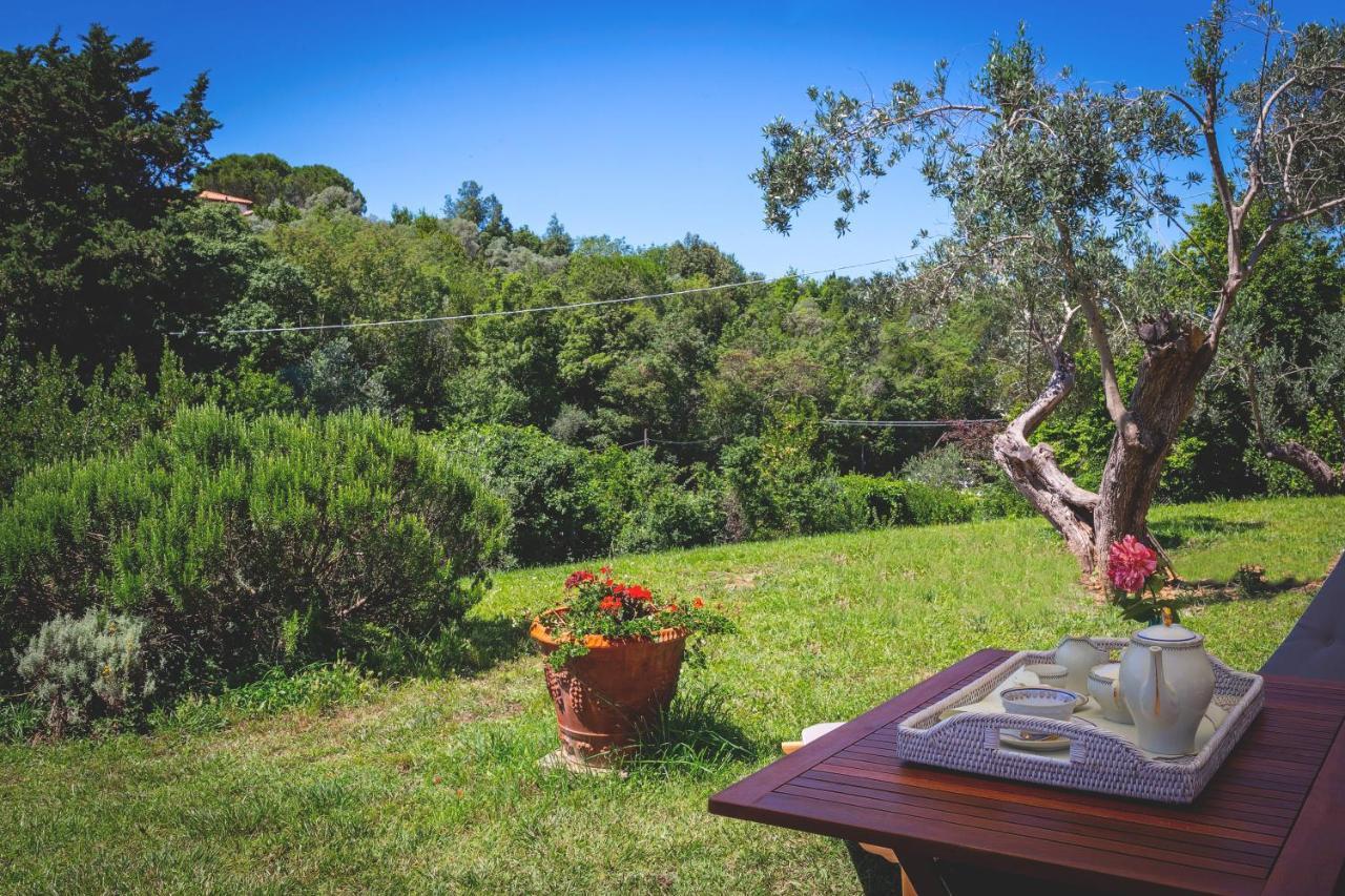 Bed and Breakfast Gatto Rosso Bolgheri Exterior foto
