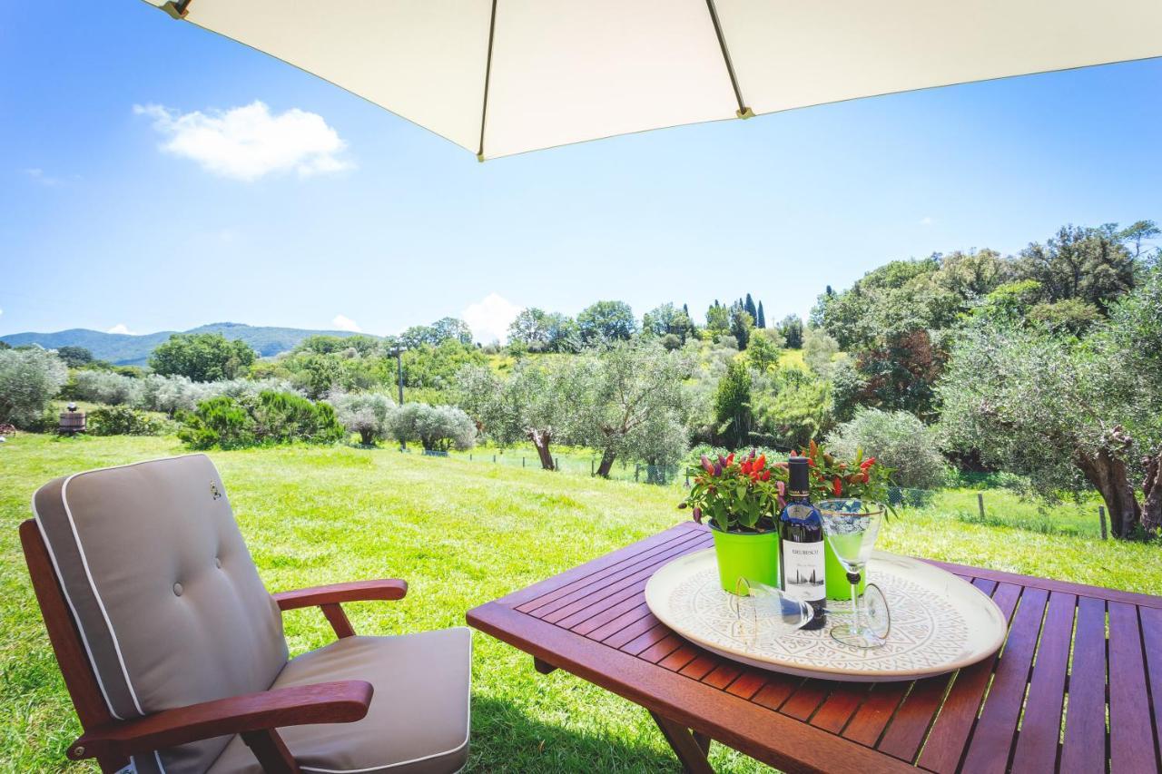 Bed and Breakfast Gatto Rosso Bolgheri Exterior foto