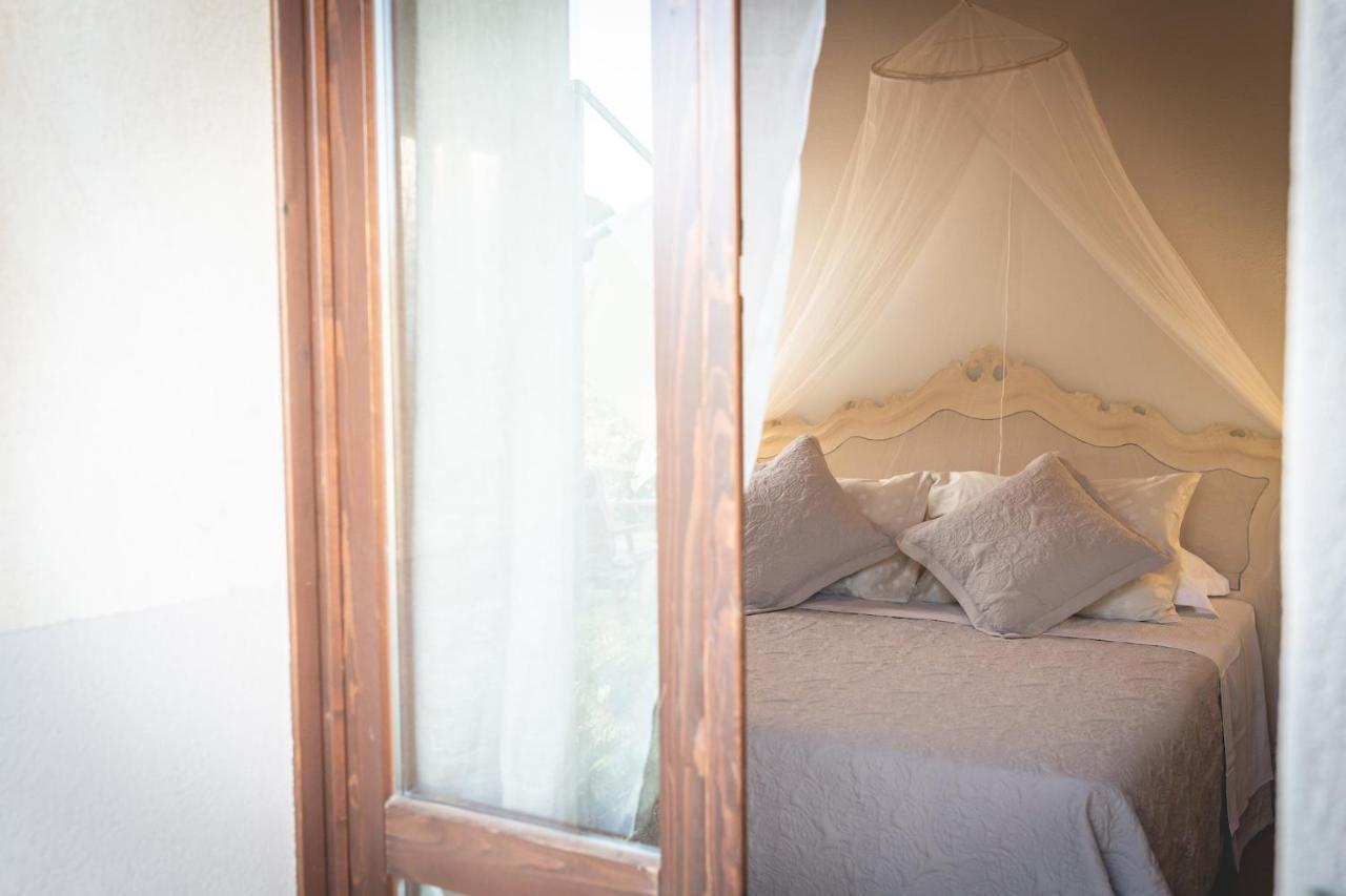 Bed and Breakfast Gatto Rosso Bolgheri Exterior foto